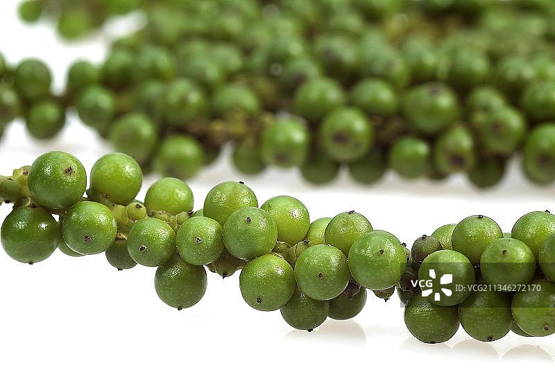 真胡椒、黑胡椒（学名：piper nigrum）、胡椒灌木、胡椒科、白色背景下的新鲜绿胡椒图片素材