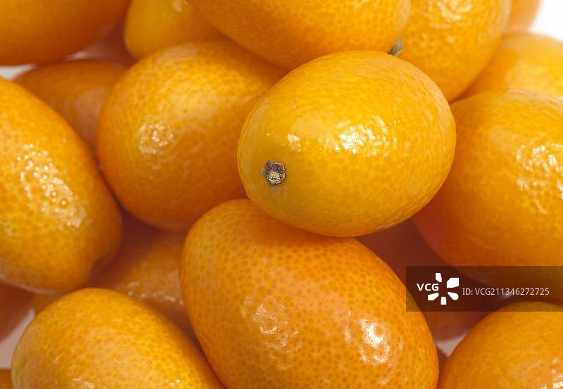 金橘（金桔）图片素材