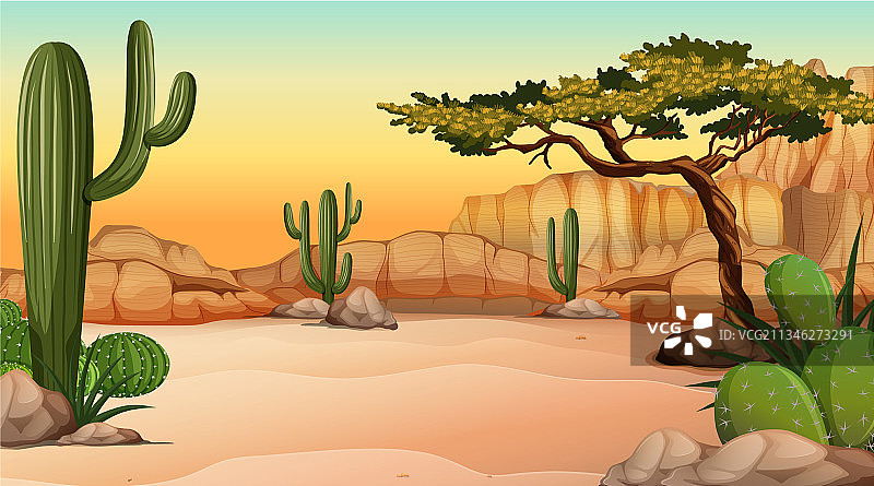 白天场景的沙漠森林景观图片素材