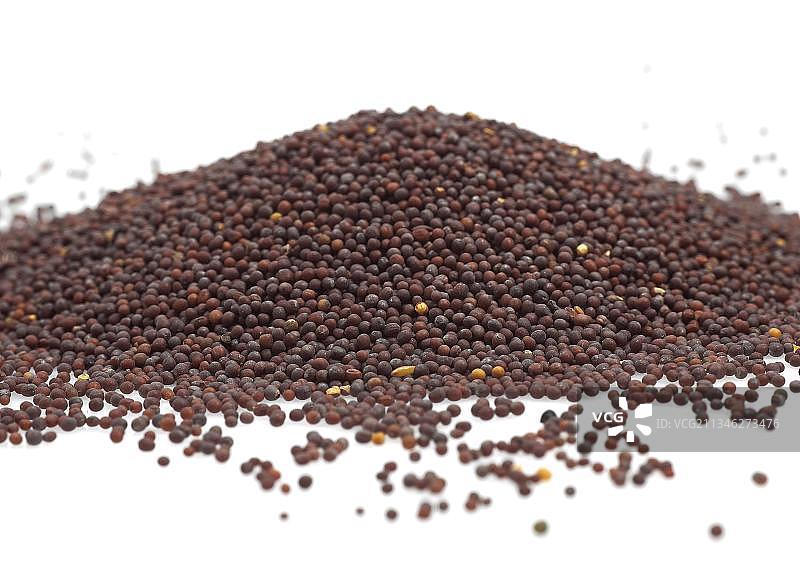 黑芥末（sinapis nigra）种子，白色背景上的干燥种子图片素材