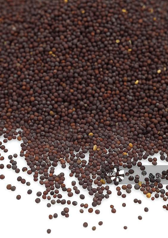 黑芥菜籽图片素材