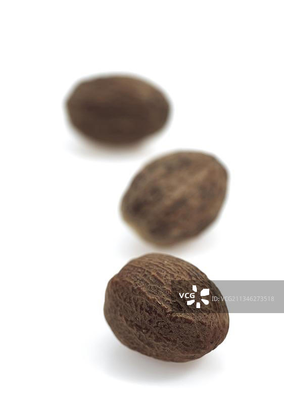 肉豆蔻树图片素材