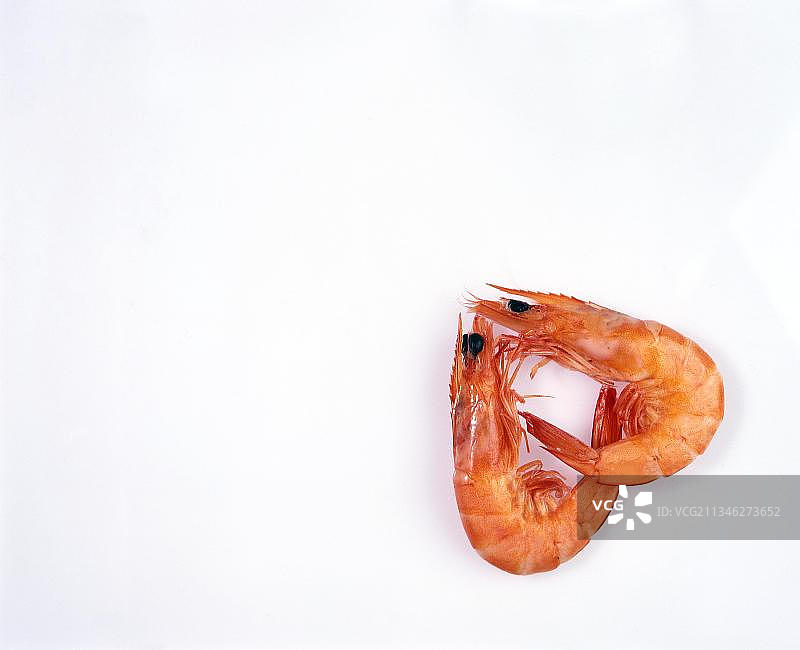 锯齿沼虾图片素材