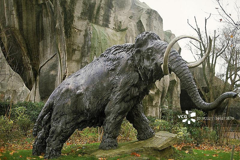 长毛猛犸象图片素材