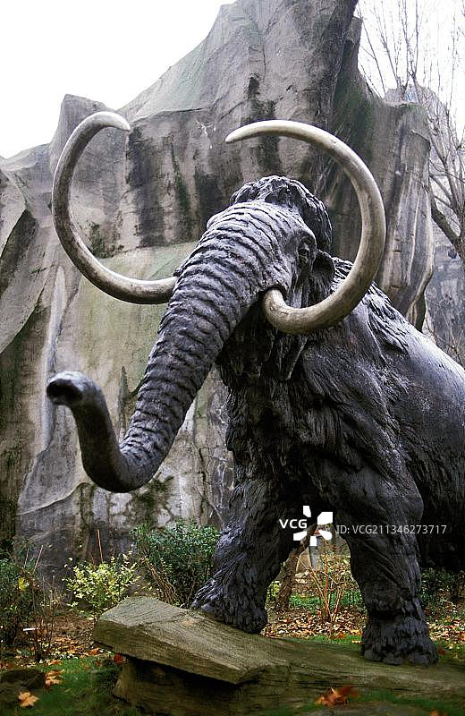 长毛猛犸象图片素材