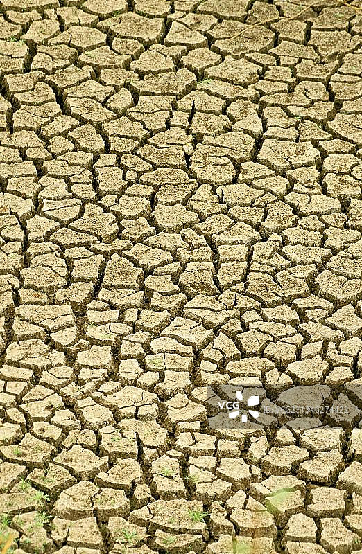 肯尼亚的土壤裂缝与干旱图片素材