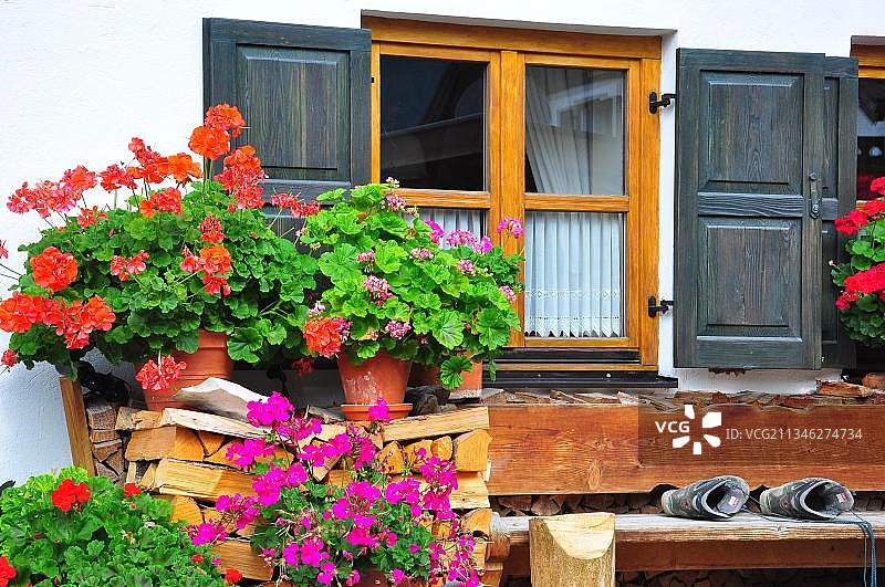 巴伐利亚花卉窗户装饰图片素材