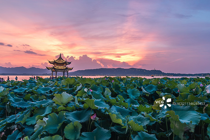 杭州西湖集贤亭风光图片素材
