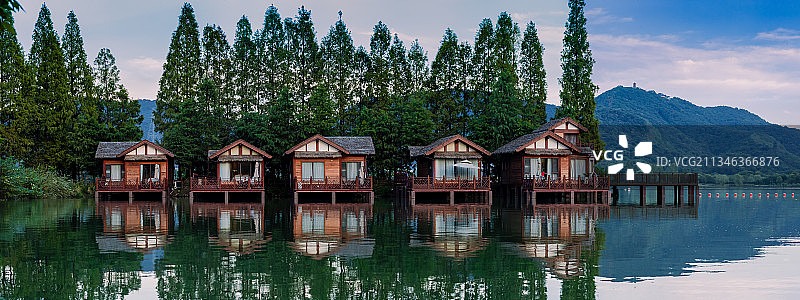 水杉下的度假木屋图片素材
