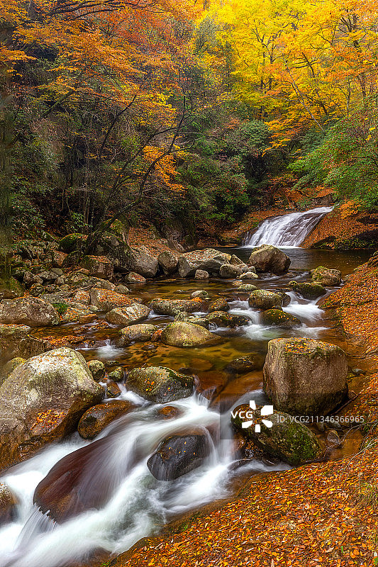 光雾山红叶节图片素材
