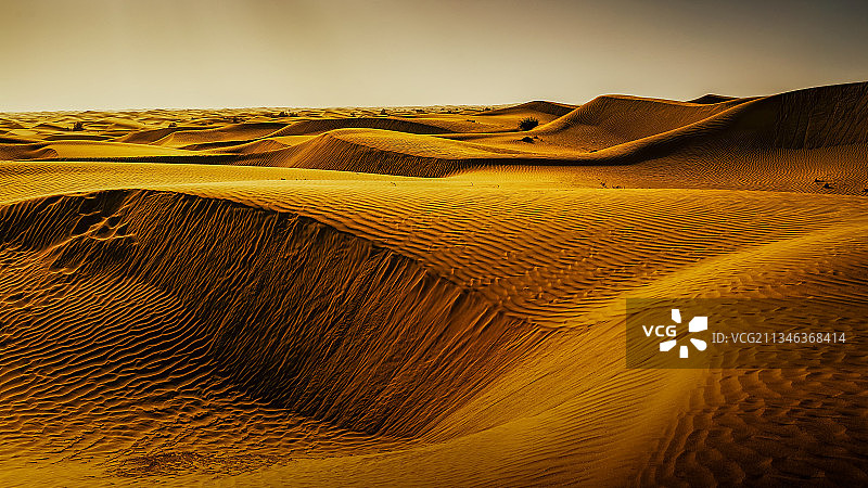 中国新疆塔克拉玛干沙漠图片素材