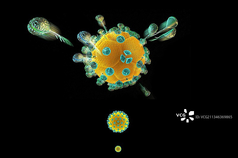 艾滋病毒传播概念图图片素材