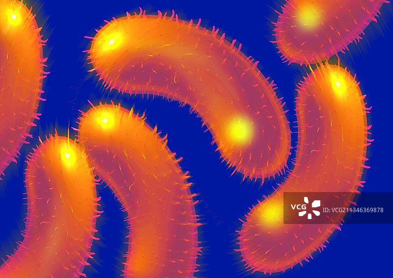 沙门氏菌细菌图片素材