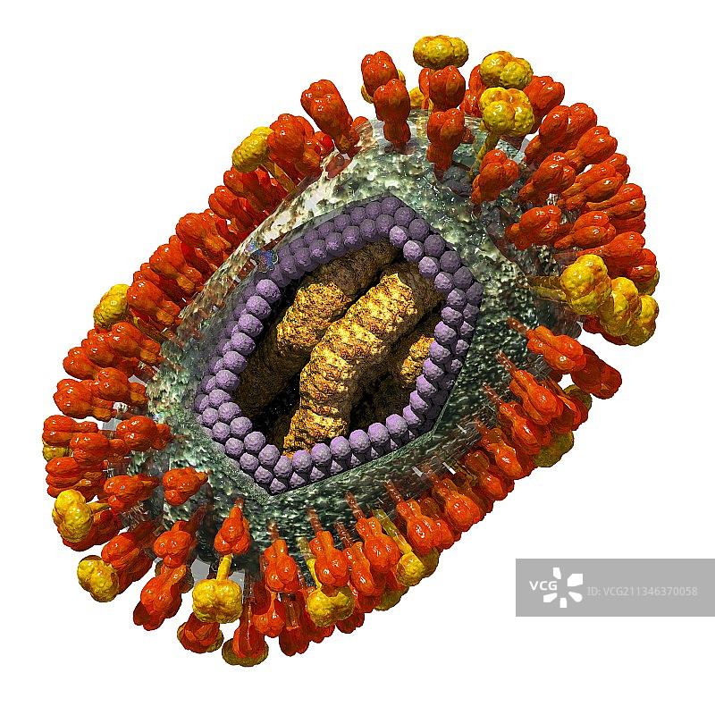 流感病毒艺术图图片素材