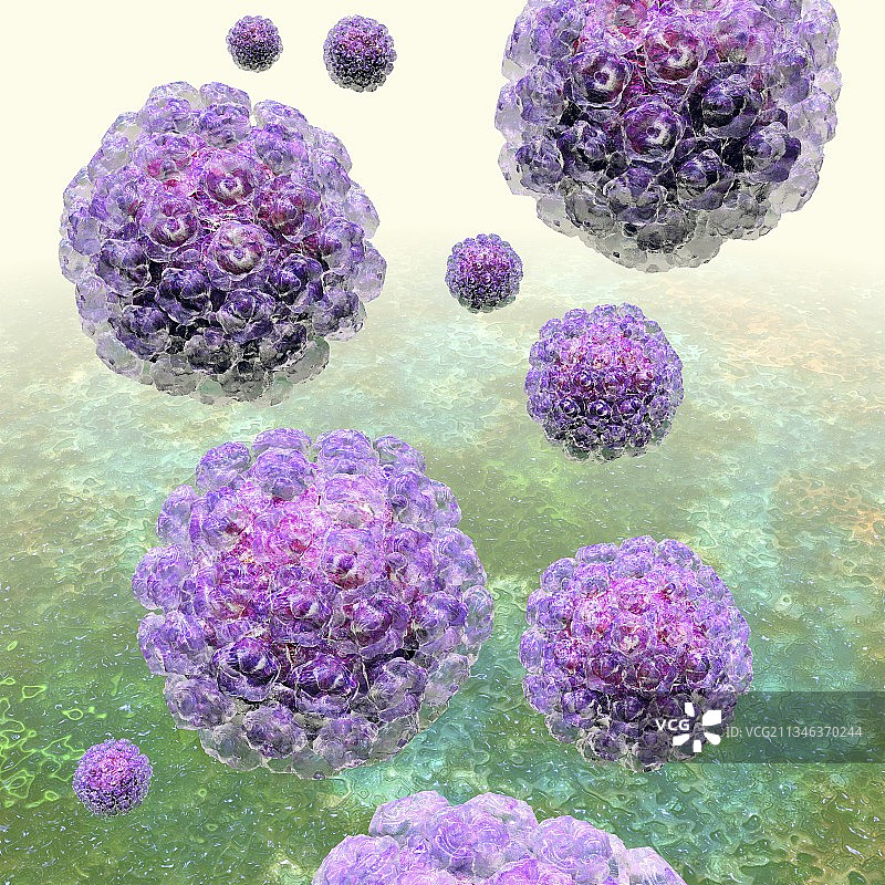 人类乳头瘤病毒颗粒，艺术作品图片素材