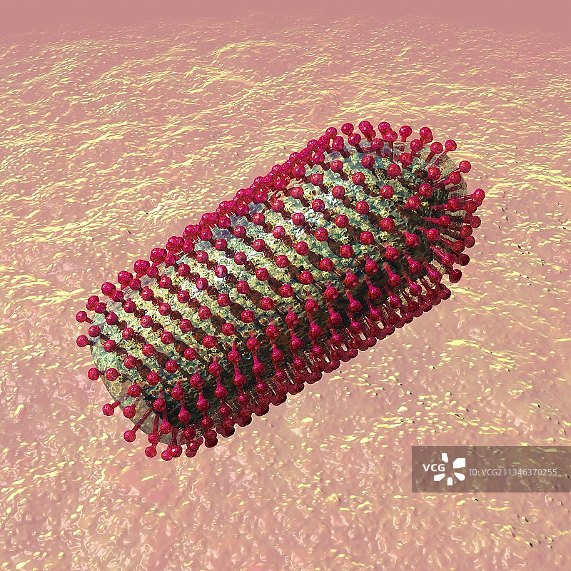 狂犬病病毒颗粒艺术图图片素材