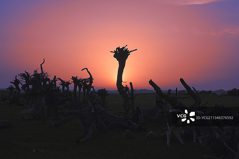 锡林郭勒盟正蓝旗草原生态图片素材