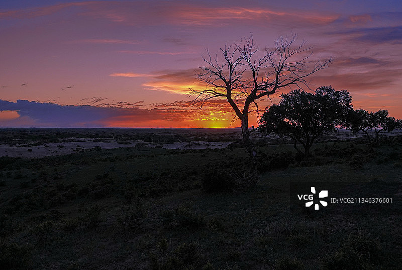 锡林郭勒盟正蓝旗草原生态图片素材