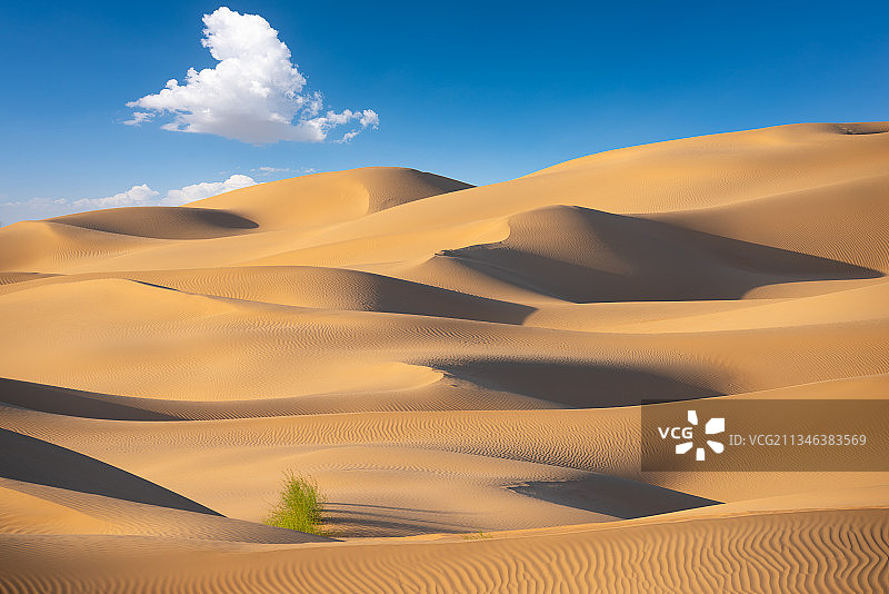 库布齐沙漠纹理图片素材