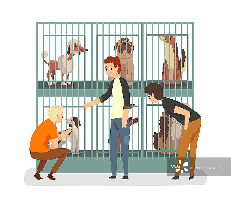 男孩在宠物收容所或商店选择狗图片素材