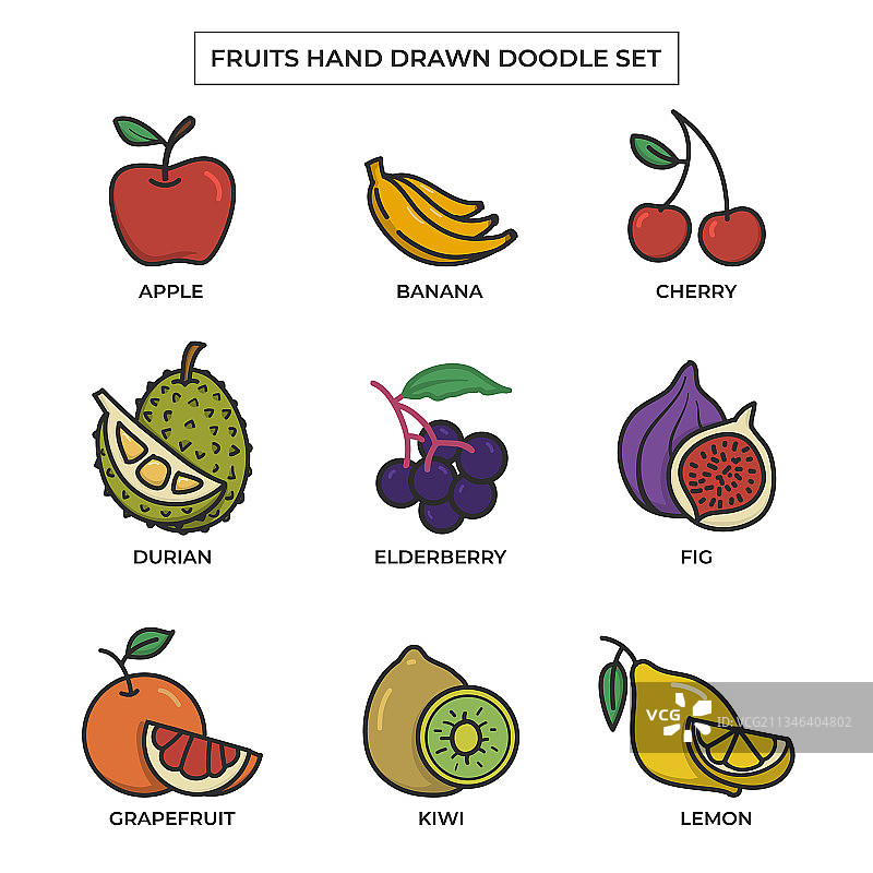 手绘涂鸦水果扁平颜色合集图片素材