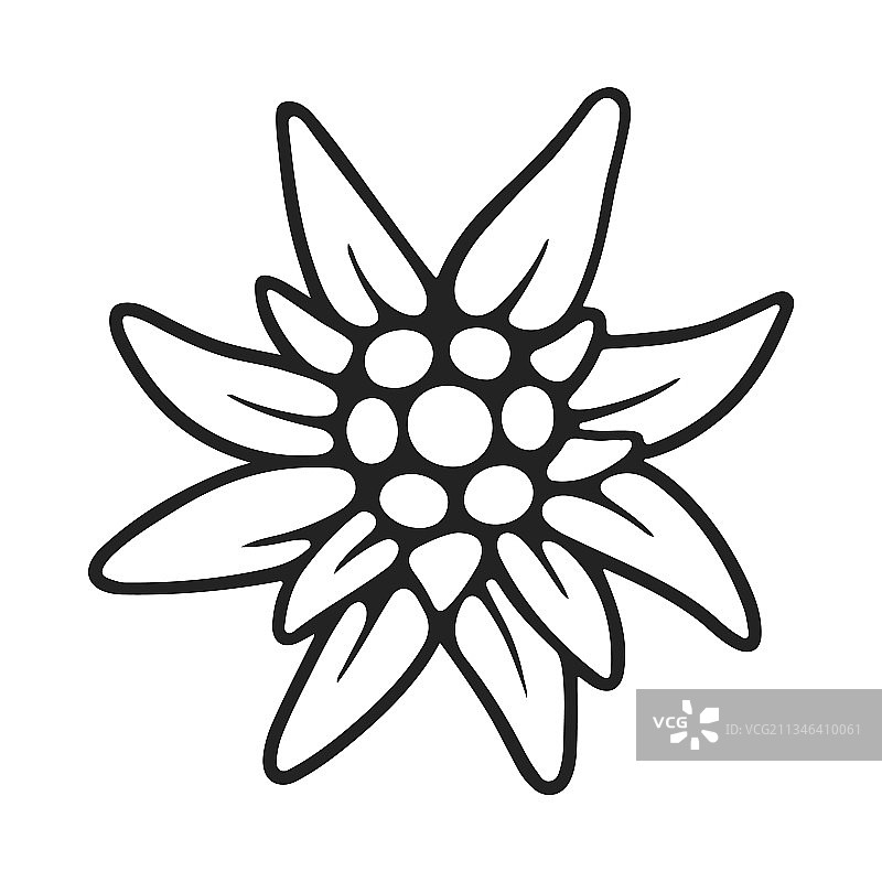 轮廓雪绒花啤酒节假日图片素材