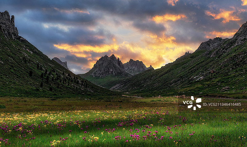 春到高原图片素材