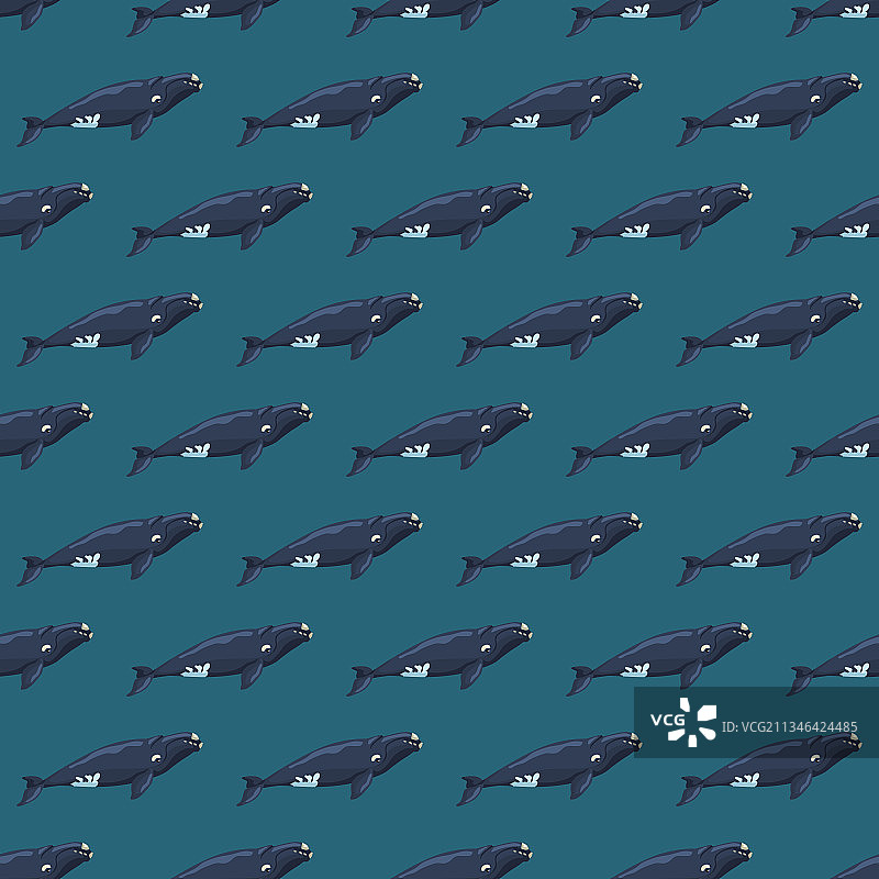 蓝绿色背景露脊鲸无缝图案图片素材