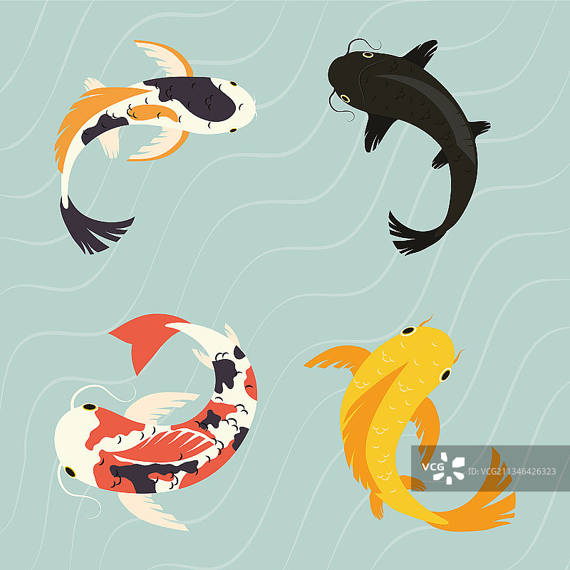 锦鲤鱼图标合集图片素材