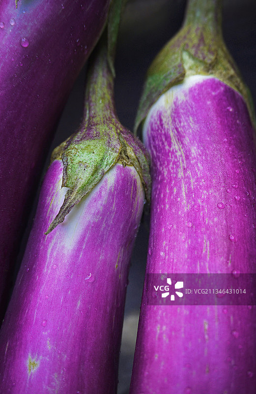 在秋天的乡村，隔壁家送来几条自留地养植的茄瓜图片素材