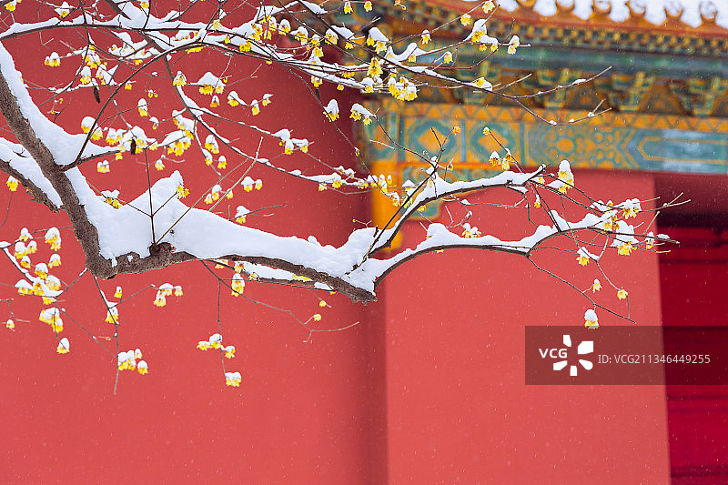 城市雪景图片素材