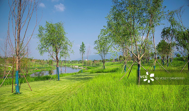 西安沣河河边绿道图片素材