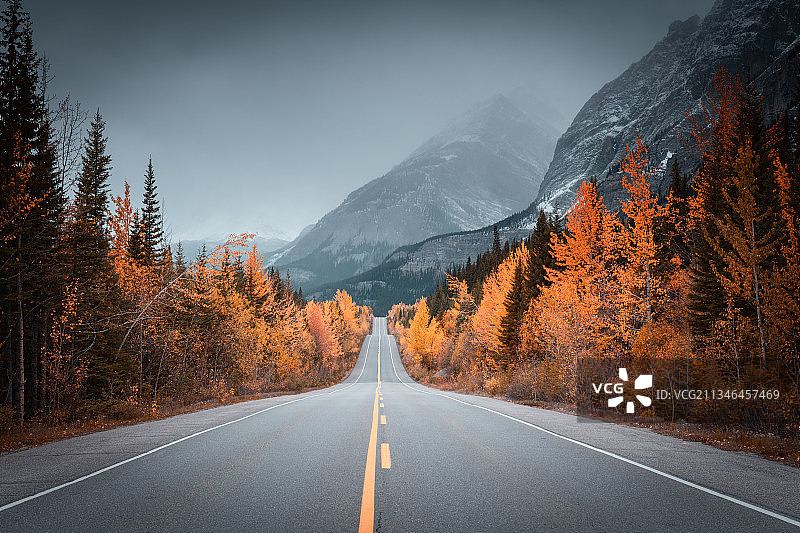 路边秋色图片素材