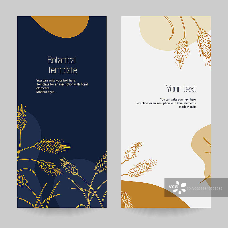 植物宣传单模板图片素材