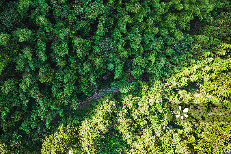 仙寓山古徽道图片素材