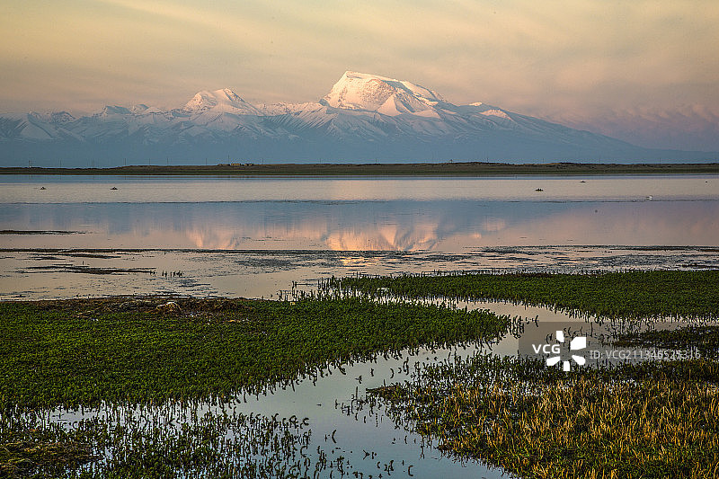 圣湖玛旁雍措湿地风光图片素材