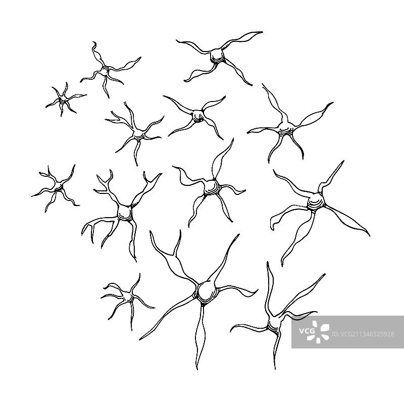 神经元脑细胞涂鸦黑色墨线图片素材