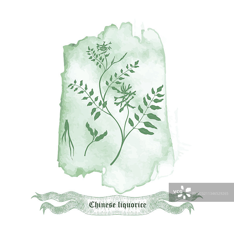 矢车菊花卉和水彩污渍徽章图片素材