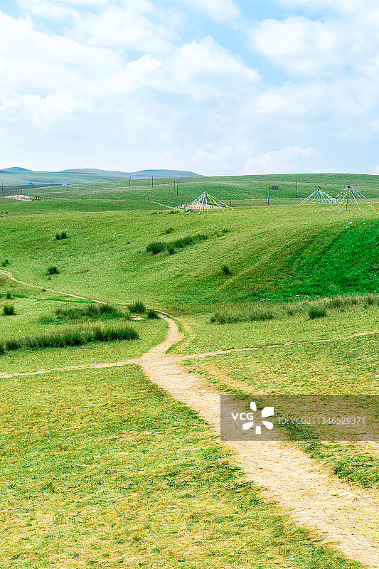 中国青海省金银滩草原的夏天图片素材