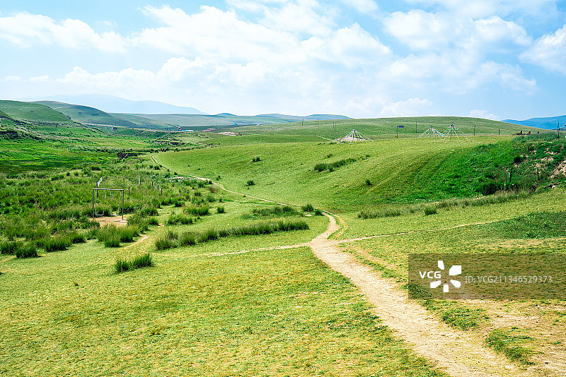 中国青海省金银滩草原的夏天图片素材