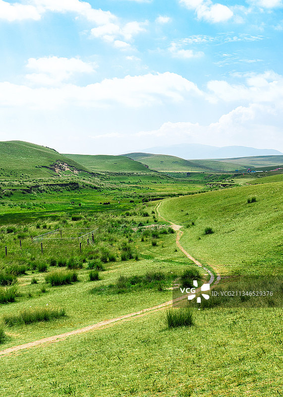 中国青海省金银滩草原的夏天图片素材