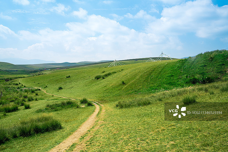 中国青海省金银滩草原的夏天图片素材