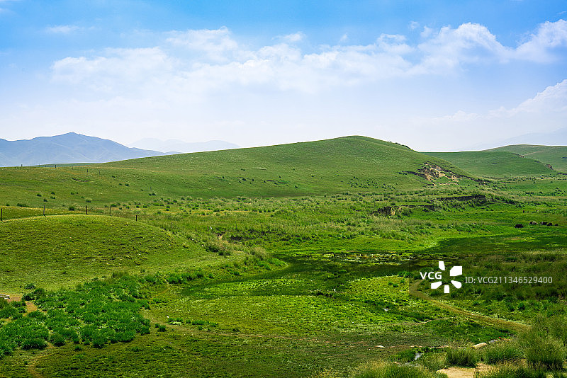 中国青海省金银滩草原的夏天图片素材