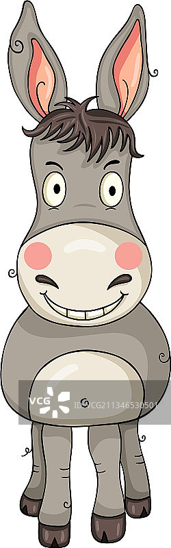 灰色小毛驴图片素材