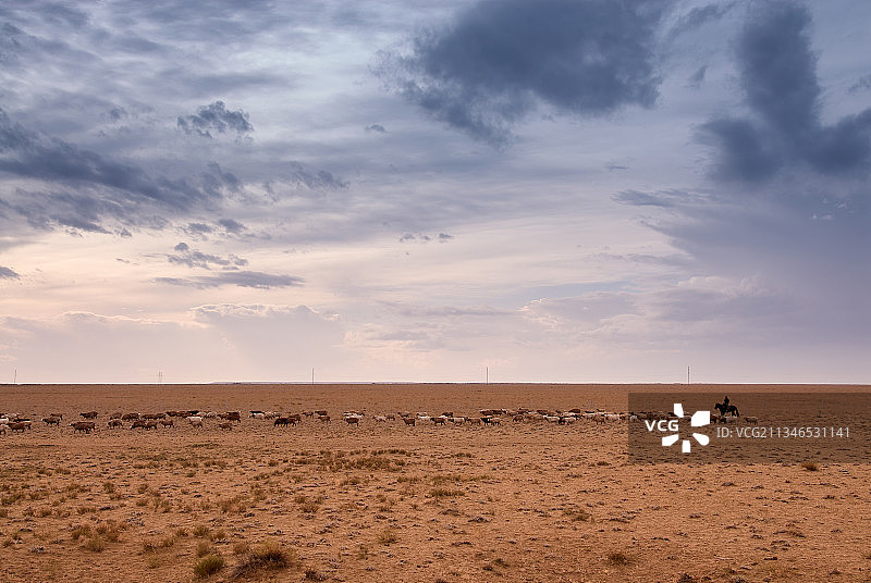 新疆阿勒泰地区，牧羊，骑马，草原，畜牧业，广阔，空旷图片素材