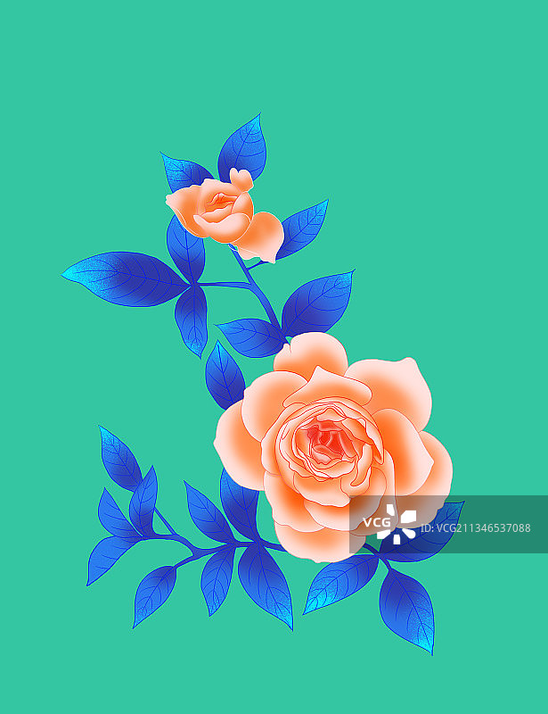 中国风传统复古中国画工笔花鸟画鲜花玫瑰蔷薇月季背景包装插画图片素材