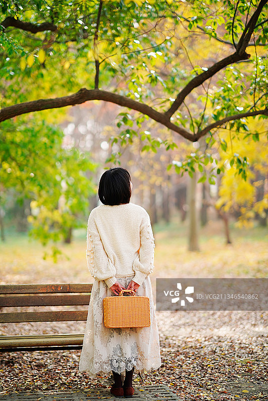 上海共青森林公园深秋的美丽景色201213图片素材