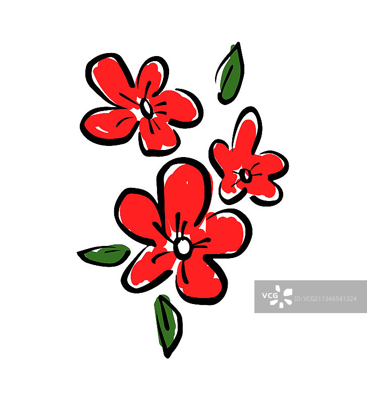 手绘红色花朵速写图片素材