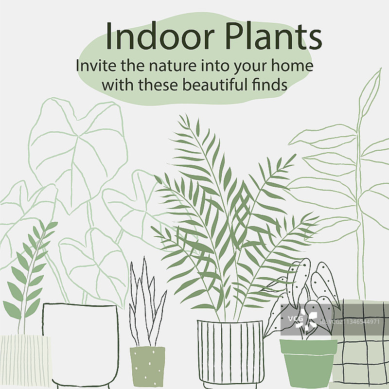 社交媒体图片素材