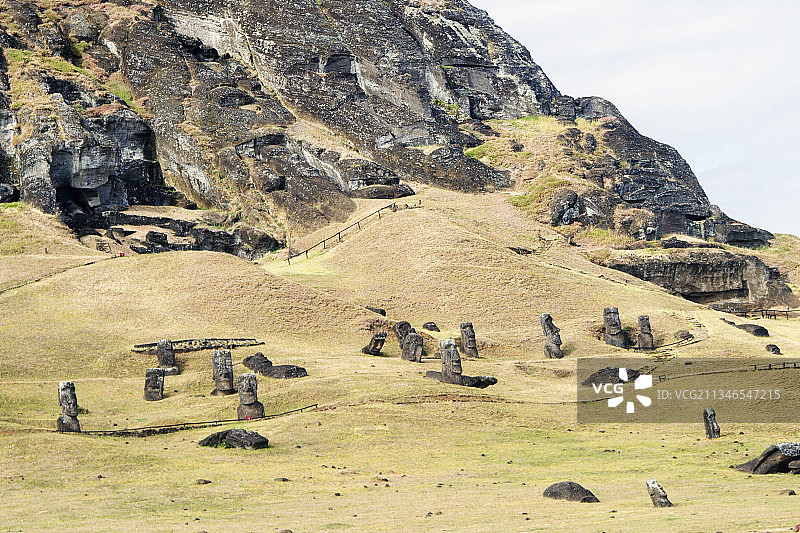 采石场的未完成的摩艾石像图片素材